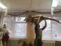 nyear 2018-12-28 43